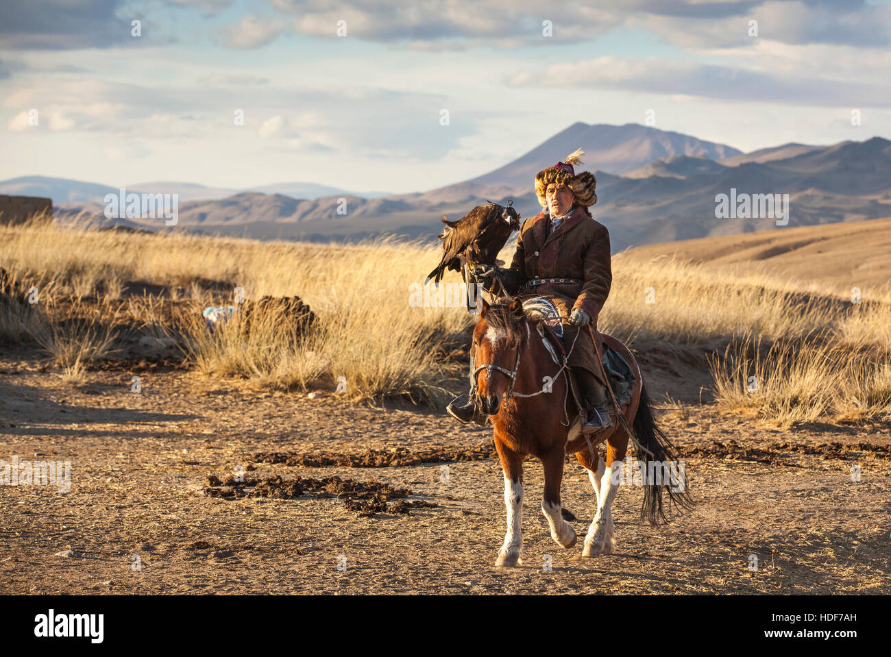 Bayan Ulgii, la Mongolie, le 2 octobre, 2015 : Old eagle hunter avec son aigle d'Altaï sur son cheval Banque D'Images