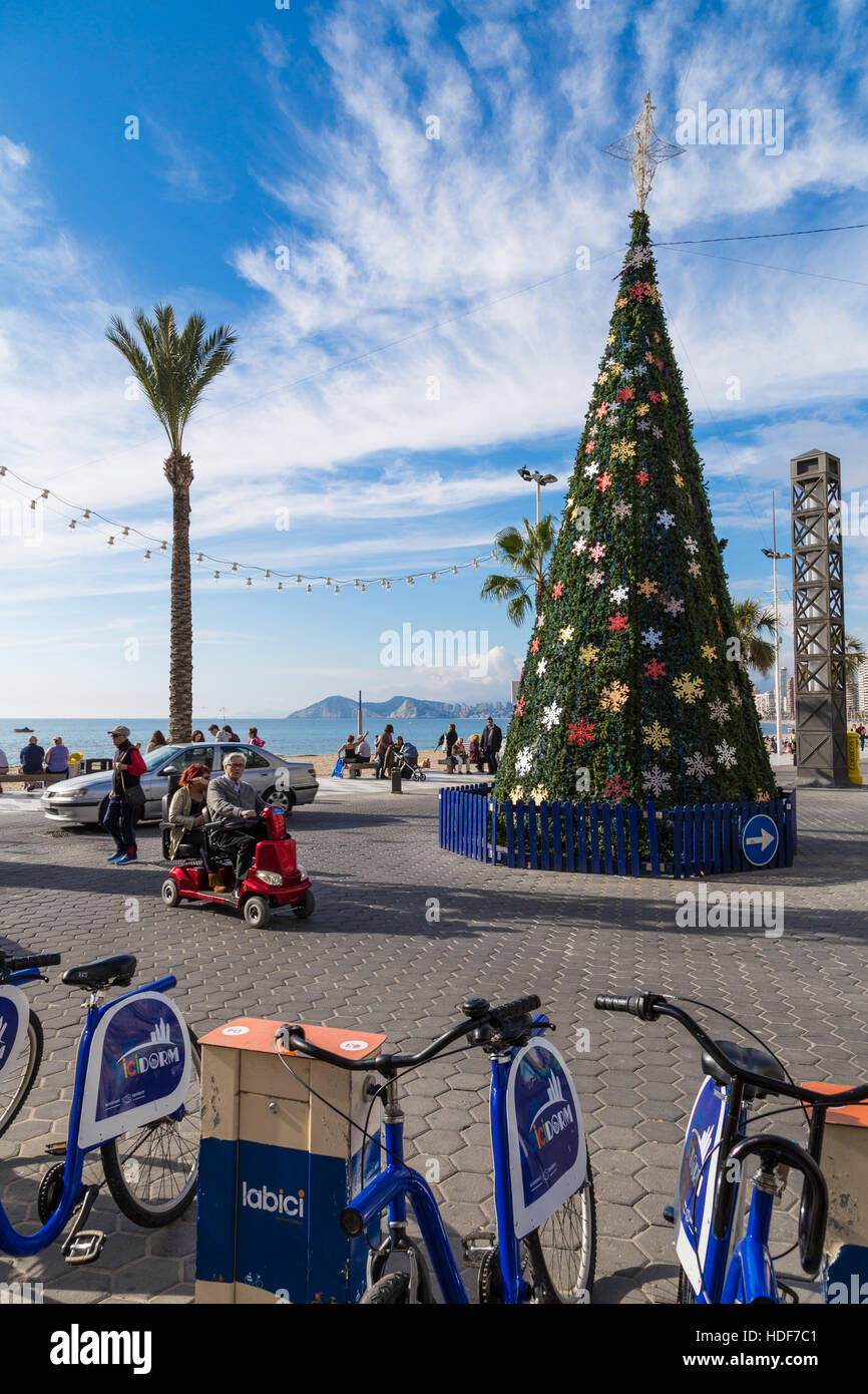 Benidorm, Alicante Province, Spain, Europe, l'arbre de Noël dans le soleil d'hiver sur la plage de Levante à Rincon de louer des vélos à l'avant-plan copy space Banque D'Images