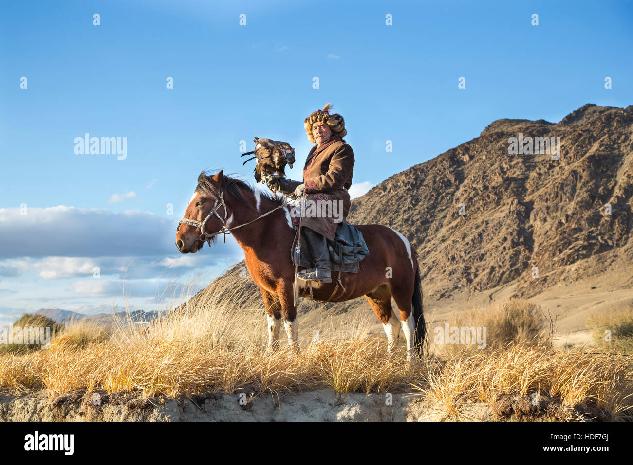 Bayan Ulgii, la Mongolie, le 2 octobre, 2015 : Old eagle hunter avec son aigle d'Altaï sur son cheval Banque D'Images