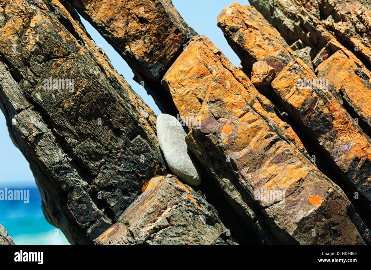 Des formations de roche sédimentaire paléozoïque at Quarry, Mallacoota, Victoria, Australie c'est une partie de l'Avelgem complexe d'accrétion, et d'un site o Banque D'Images