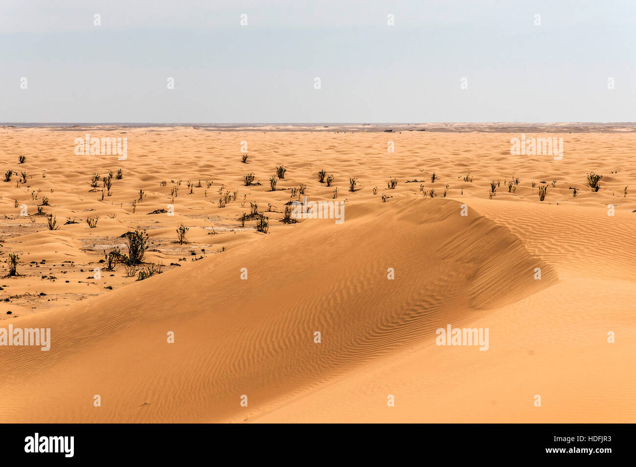 Sable sec extérieur dune tendance en Oman ancien plus grand désert rub al Khali Banque D'Images