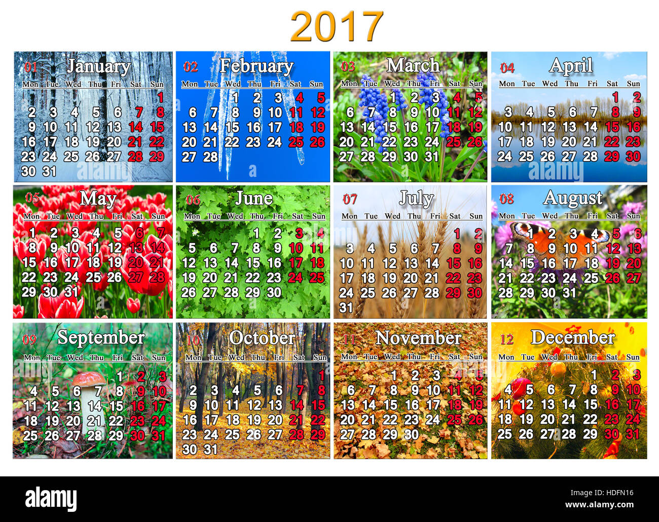 Calendrier pour 2017 en anglais avec une photo pour chaque mois de la nature Banque D'Images