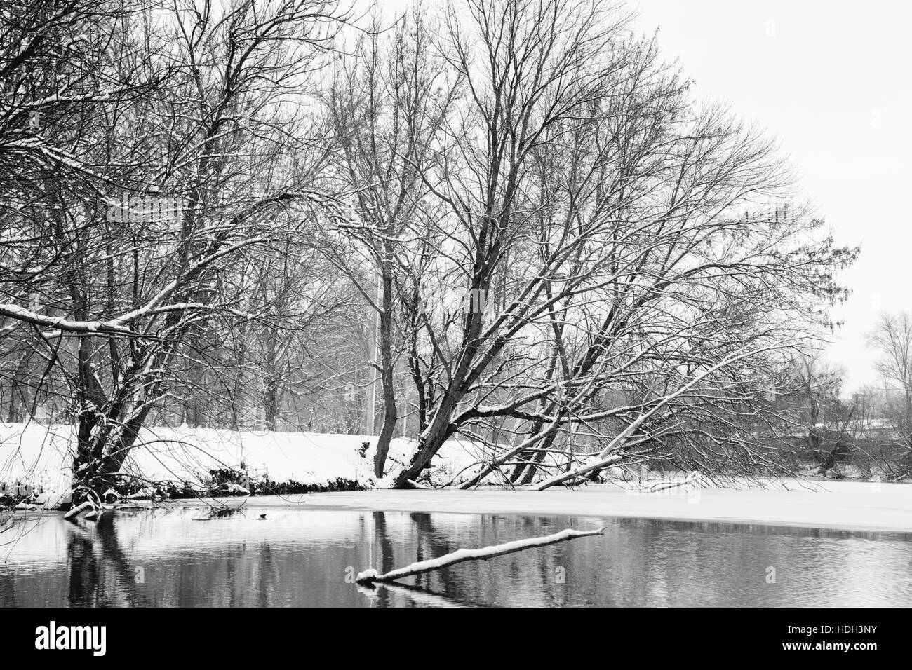 Paysage d'hiver des arbres couverts de neige et la rivière Banque D'Images