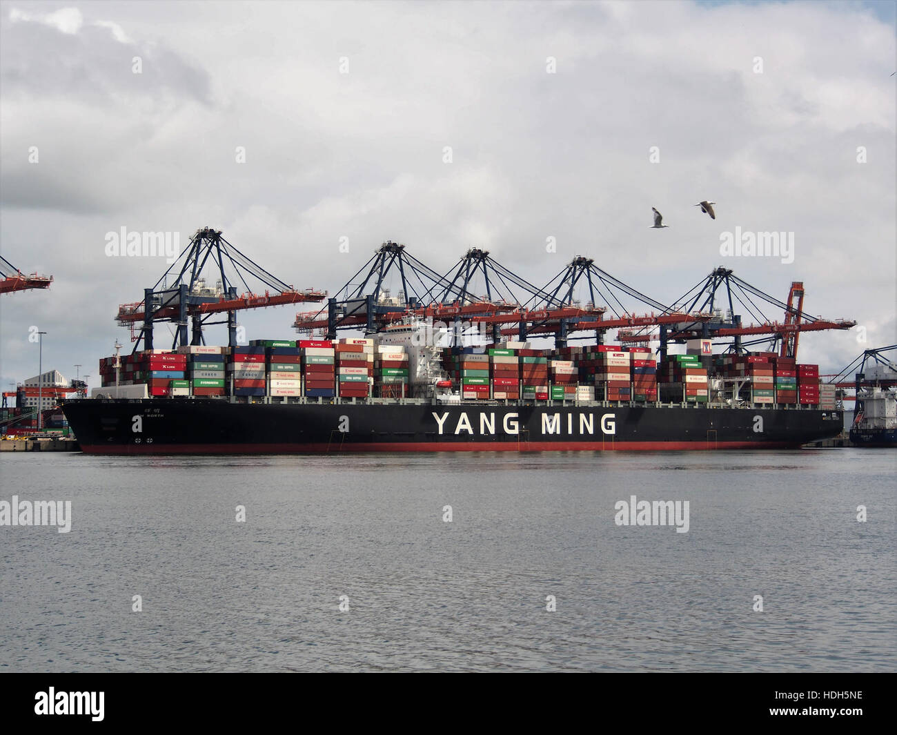 YM (navire, d'une valeur de 2015) OMI 9704635 Port de Rotterdam pic2 Banque D'Images