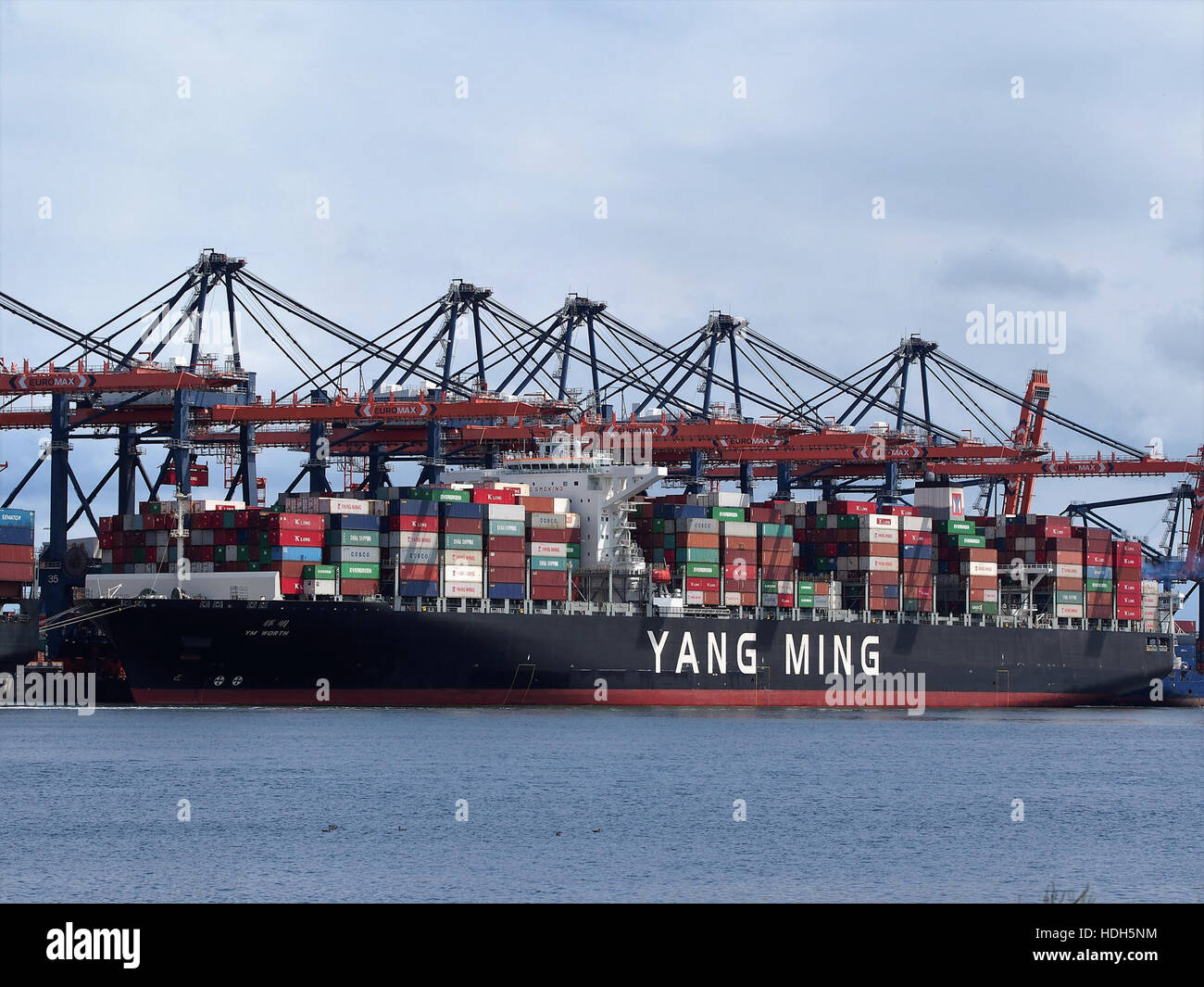YM (navire, d'une valeur de 2015) OMI 9704635 Port de Rotterdam pic1 Banque D'Images