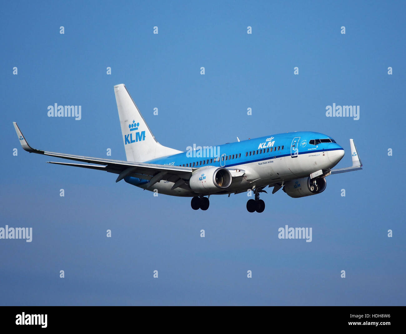 Avion avion flying sky fly wings cruising Banque D'Images