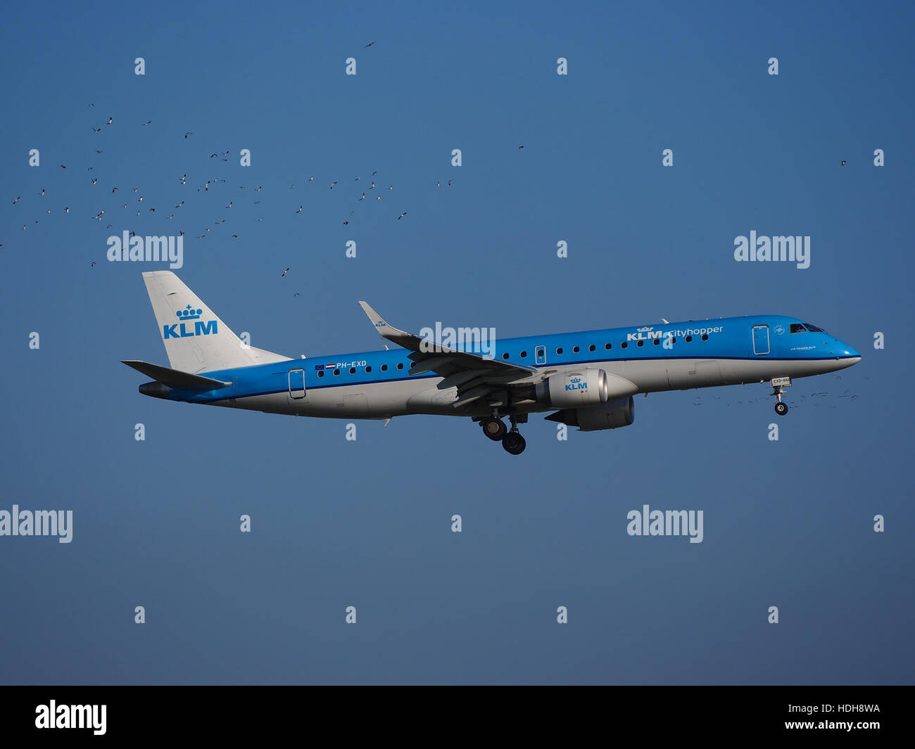 Avion avion flying sky fly wings cruising Banque D'Images