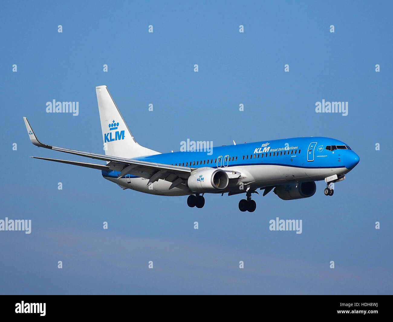 PH-BGA est un Boeing 737-800 exploité par KLM, photographié lors d'une croisière au-dessus de l'aéroport de Schiphol, Amsterdam. C'est l'un des avions de la flotte de KLM, affichant sa signature couleur bleue dans le ciel. Banque D'Images