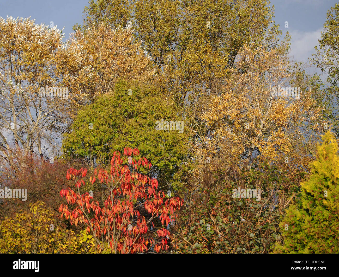 L'automne à Hoofddorp pic1 Banque D'Images