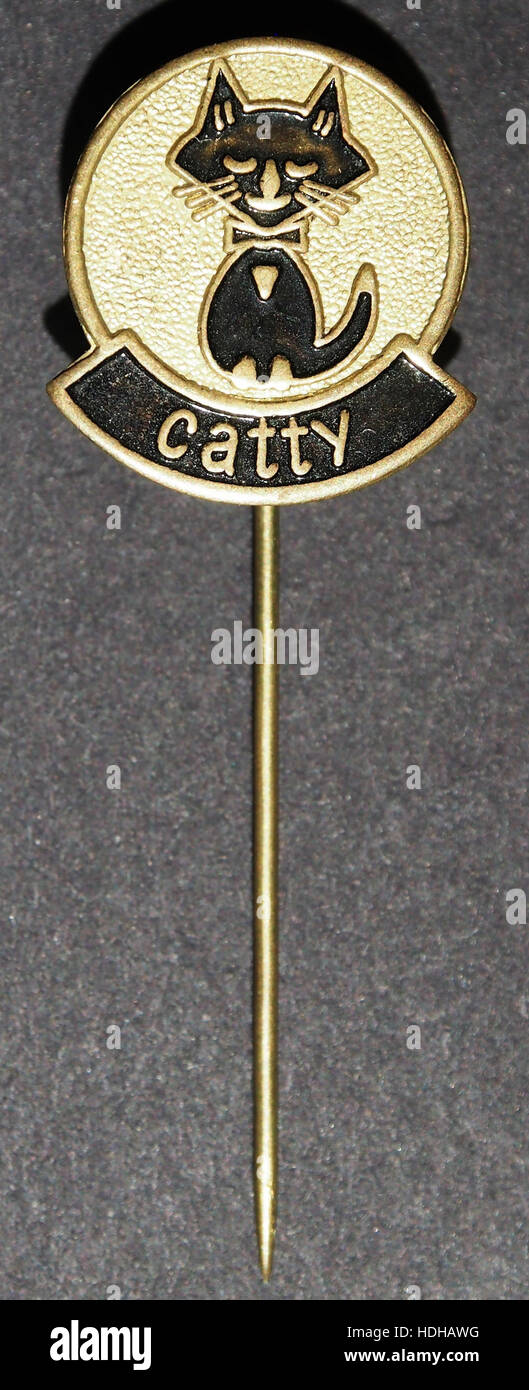 Une image stylisée intitulée 'Catty Speltje', mettant l'accent sur une représentation abstraite d'une figure féline. La pièce met en valeur la technique artistique contemporaine avec des couleurs audacieuses et une interprétation moderne. Banque D'Images