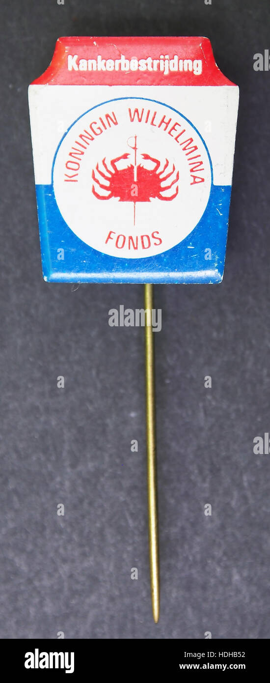 Le fonds Koningin Wilhelmina speltje est une épingle commémorative des pays-Bas, émise pour honorer le règne de la reine Wilhelmina. L'épingle présente des détails complexes et était souvent portée comme un symbole de loyauté et de respect pendant le temps de la reine au pouvoir. Banque D'Images