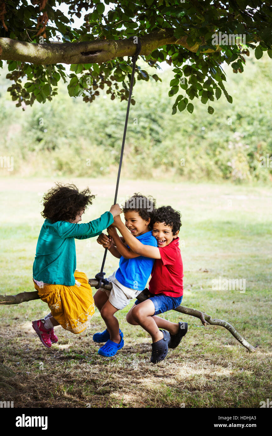 Deux garçons et une fille assise sur un arbre swing. Banque D'Images