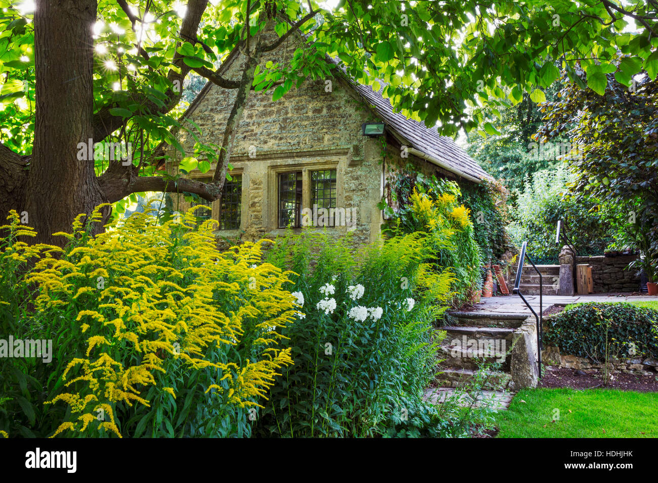 Un petit bâtiment en briques sous un arbre. Plantes arbustives à maturité. Banque D'Images