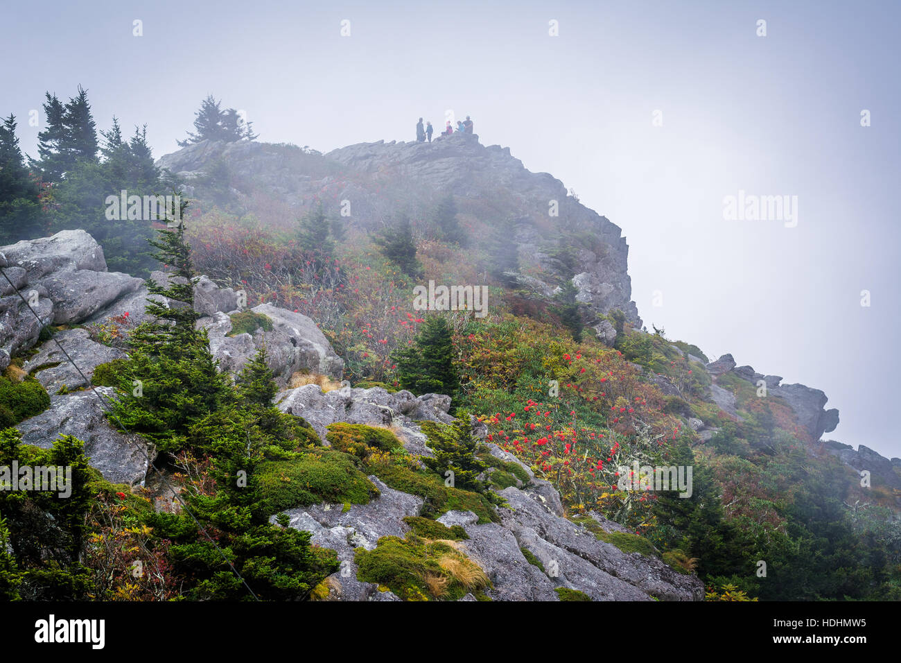 Sommet rocheux dans le brouillard, à la Grandfather Mountain, Caroline du Nord. Banque D'Images