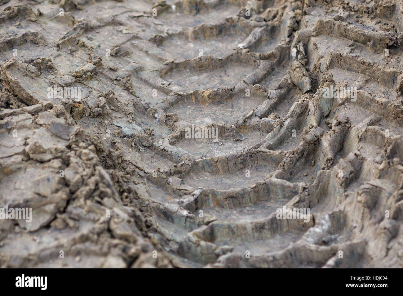 Des traces de pneus sur le sol. mentions légales roues de voiture Banque D'Images