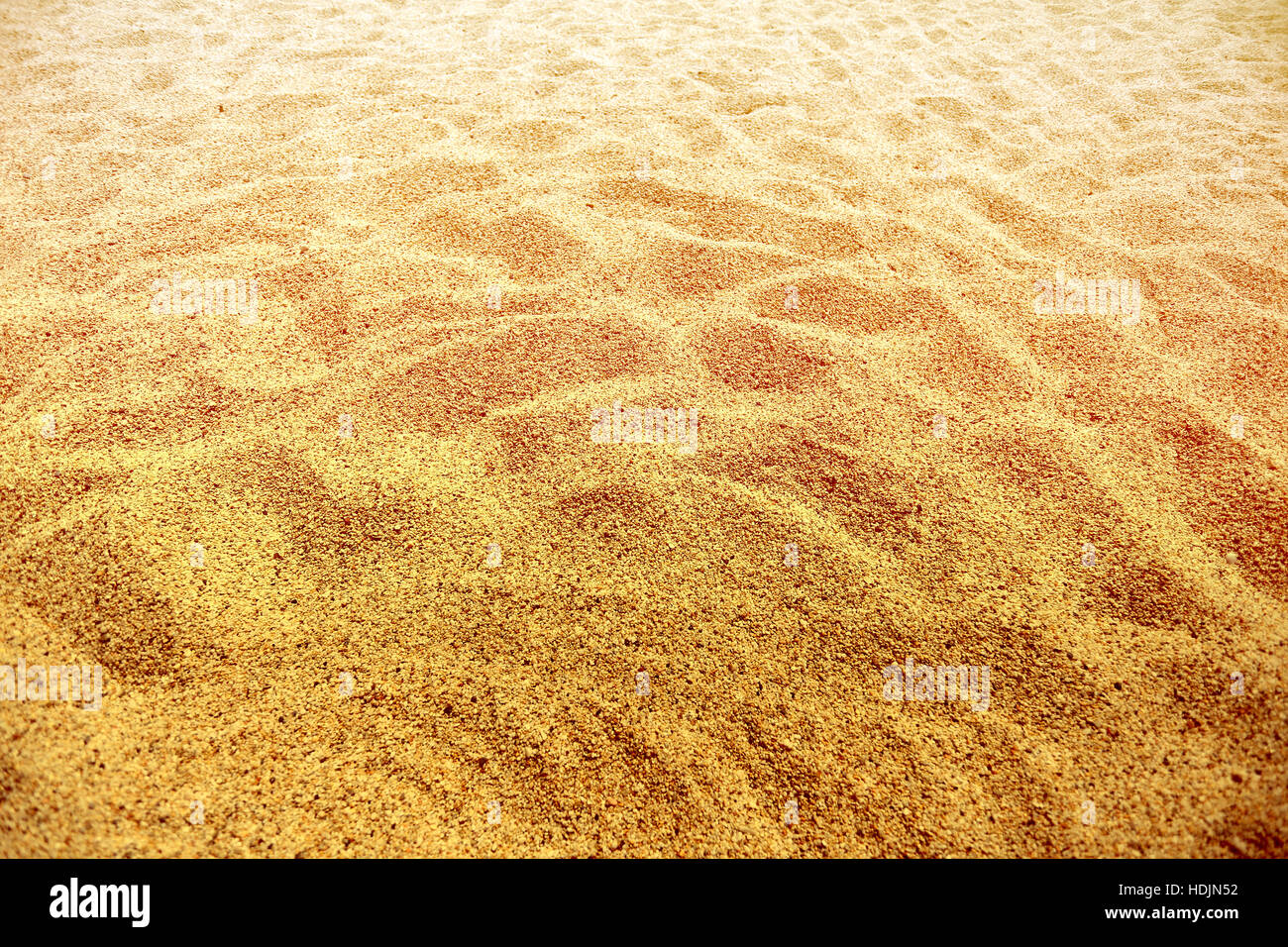 Photos d'un jaune vif sur la plage de sable Banque D'Images