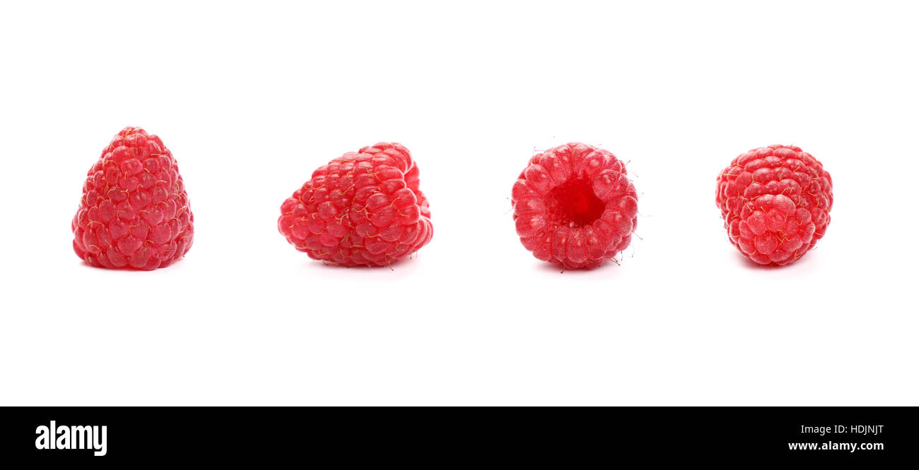 Quatre baies rouge mûre framboise moelleux isolé sur fond blanc, détail close up dans différentes perspectives, low angle view Banque D'Images