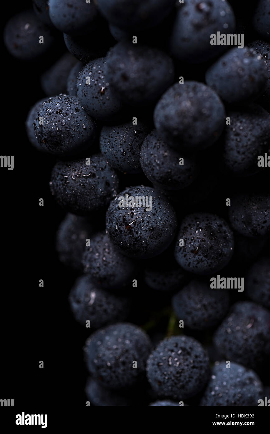 Gros plan, baie de raisin avec des gouttes d'eau sur fond noir Banque D'Images