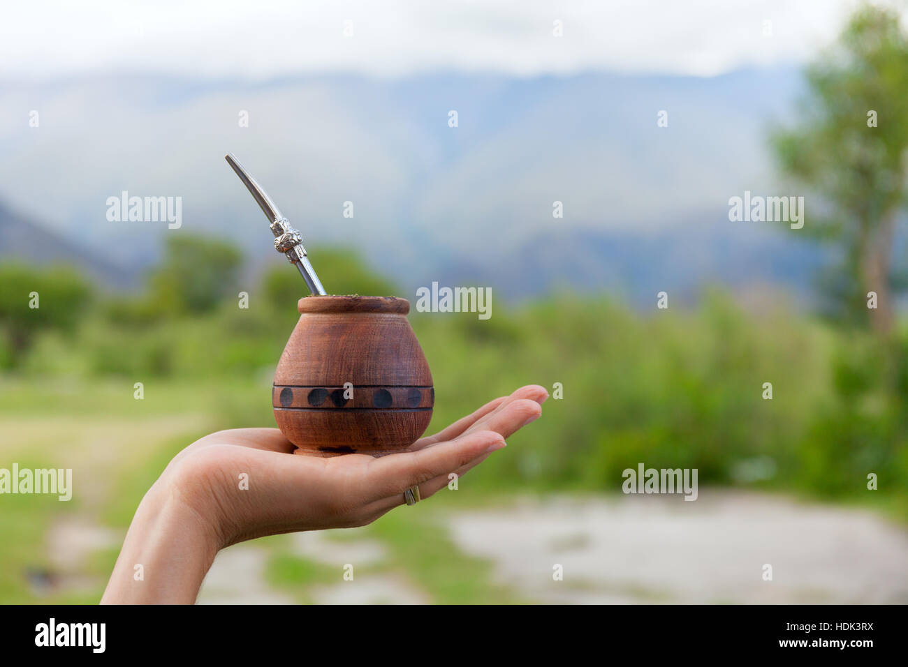 Le yerba maté dans une calebasse calebasse traditionnelle, la main, l'espace pour votre texte Banque D'Images