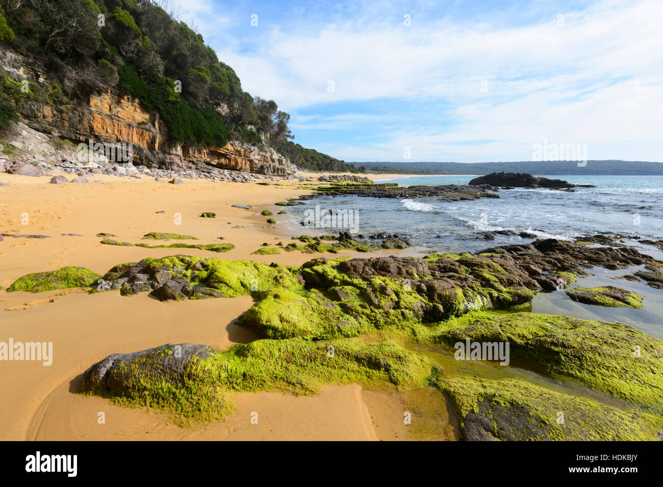 Formations rocheuses couvertes d'algues vertes en près de la piscine dans les rochers, Aslings Beach, Eden, Côte Sud, New South Wales, NSW, Australie Banque D'Images