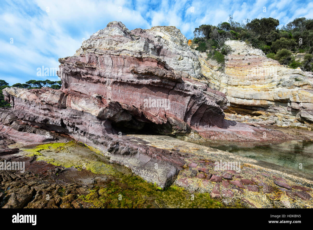 Exemple de formations de roches sédimentaires paléozoïques, partie de l'Avelgem complexe d'accrétion, Eden Rock pool, Côte Sud, New South Wales, Australie Banque D'Images