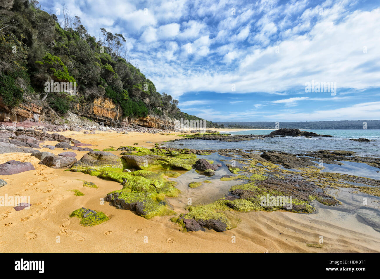 Vue panoramique sur le littoral vu du rocher piscine, Aslings Beach, Eden, Côte Sud, New South Wales, NSW, Australie Banque D'Images