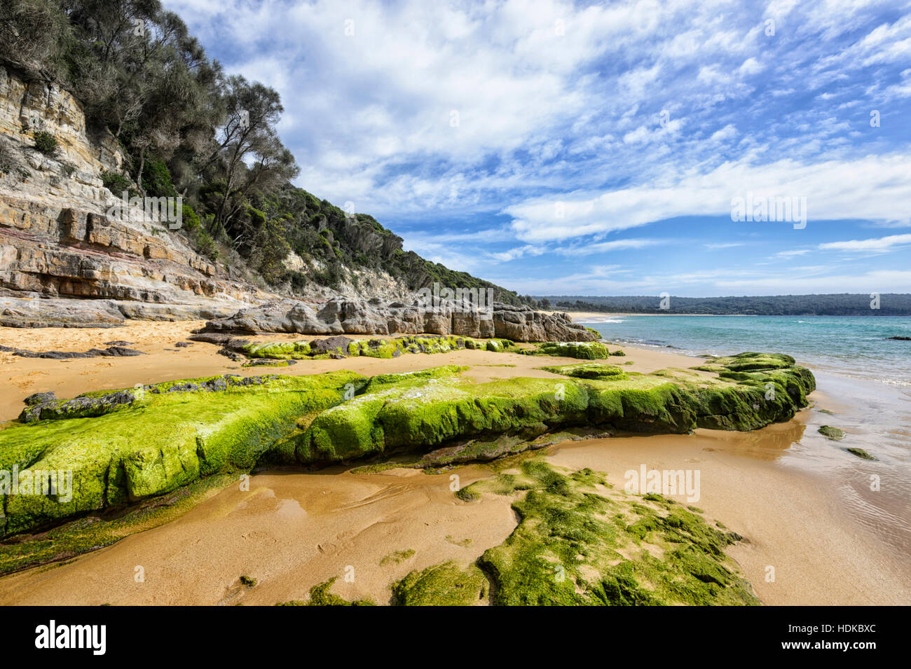 En roches couvertes d'algues vertes près de Rock Pool, Aslings Beach, Eden, Côte Sud, New South Wales, NSW, Australie Banque D'Images