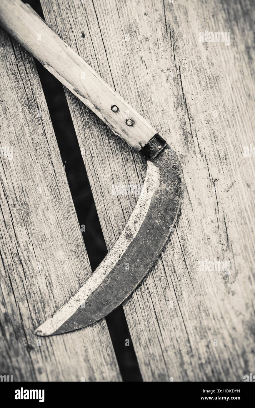 La faux ou la faucille allongée sur une table en bois. Close up de l'outil traditionnel pour le jardinage ou la récolte. Banque D'Images