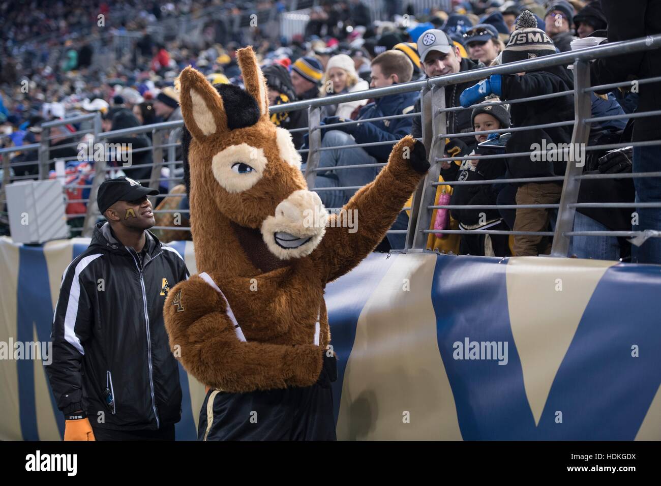 U.S. Military Academy de West Point Mules mascot durant la 117e session de la marine de l'Armée Jeu de Football à M&T Bank Stadium le 10 décembre 2016 à Baltimore, Maryland. Défaite de l'armée de l'académie navale des États-Unis 21-17 accrochage 14 ans (leur strie perdante. Banque D'Images