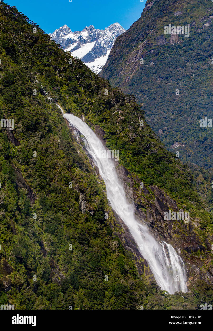 Lady Bowen Falls plongeant à travers la forêt pluviale tempérée à Milford Sound dans Fjordland ile sud Nouvelle Zelande Banque D'Images
