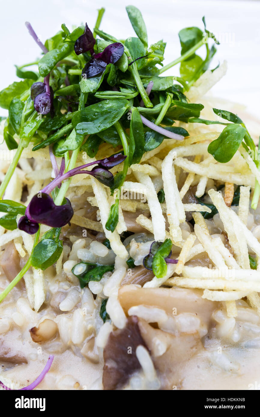 Close up d'un risotto aux champignons sauvages de fines tranches de pommes de terre sautées et une salade de chou vert comme garniture Banque D'Images