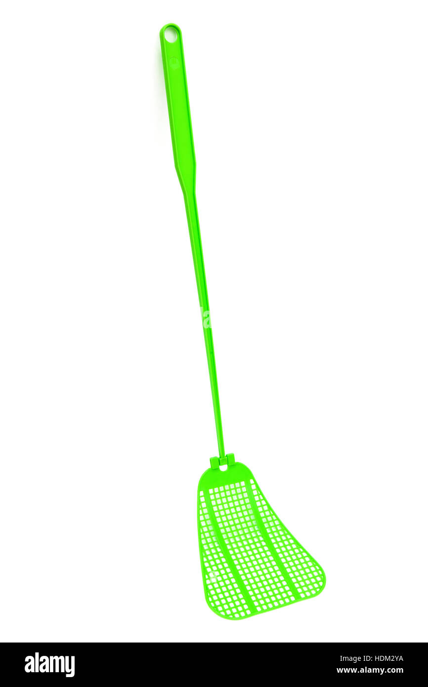 Mouche verte-swat sur fond blanc Banque D'Images