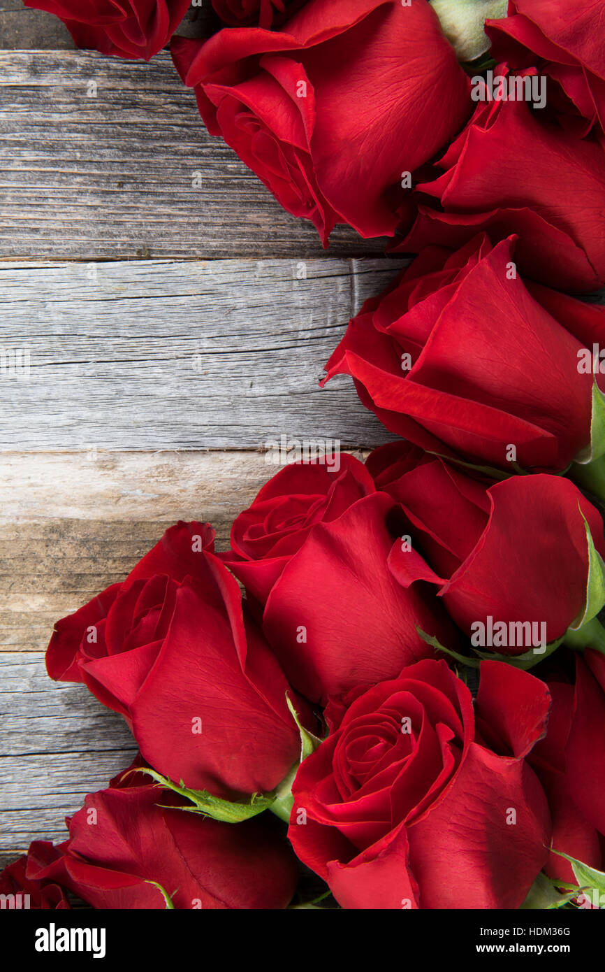 Roses rouges pour une romantique occasions spéciales sur un fond de bois avec l'exemplaire de l'espace. Banque D'Images