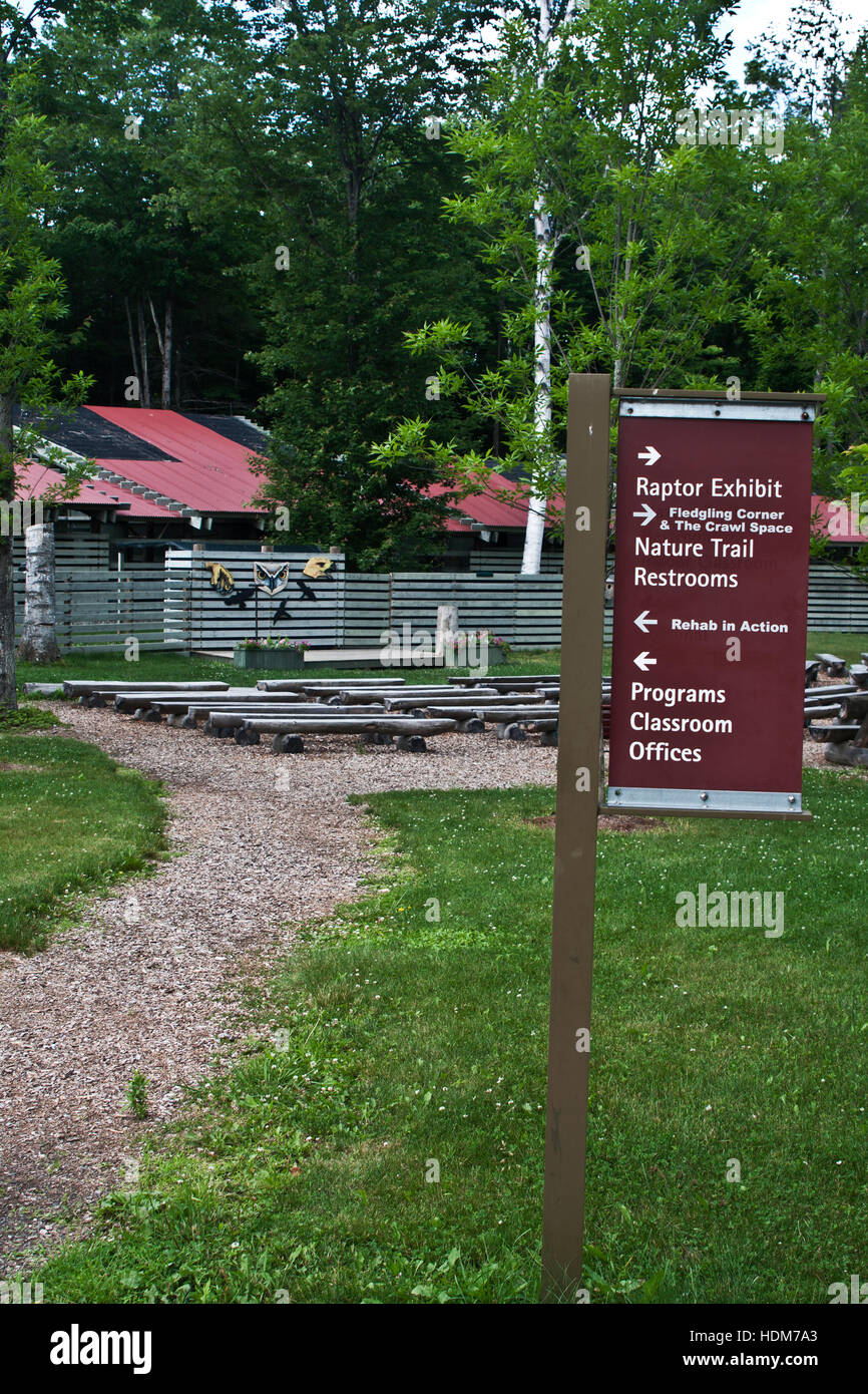 Vermont Institute of Natural Sciences, Quechee, Vermont, USA. La conférence en plein air et zone d'entraînement. Banque D'Images