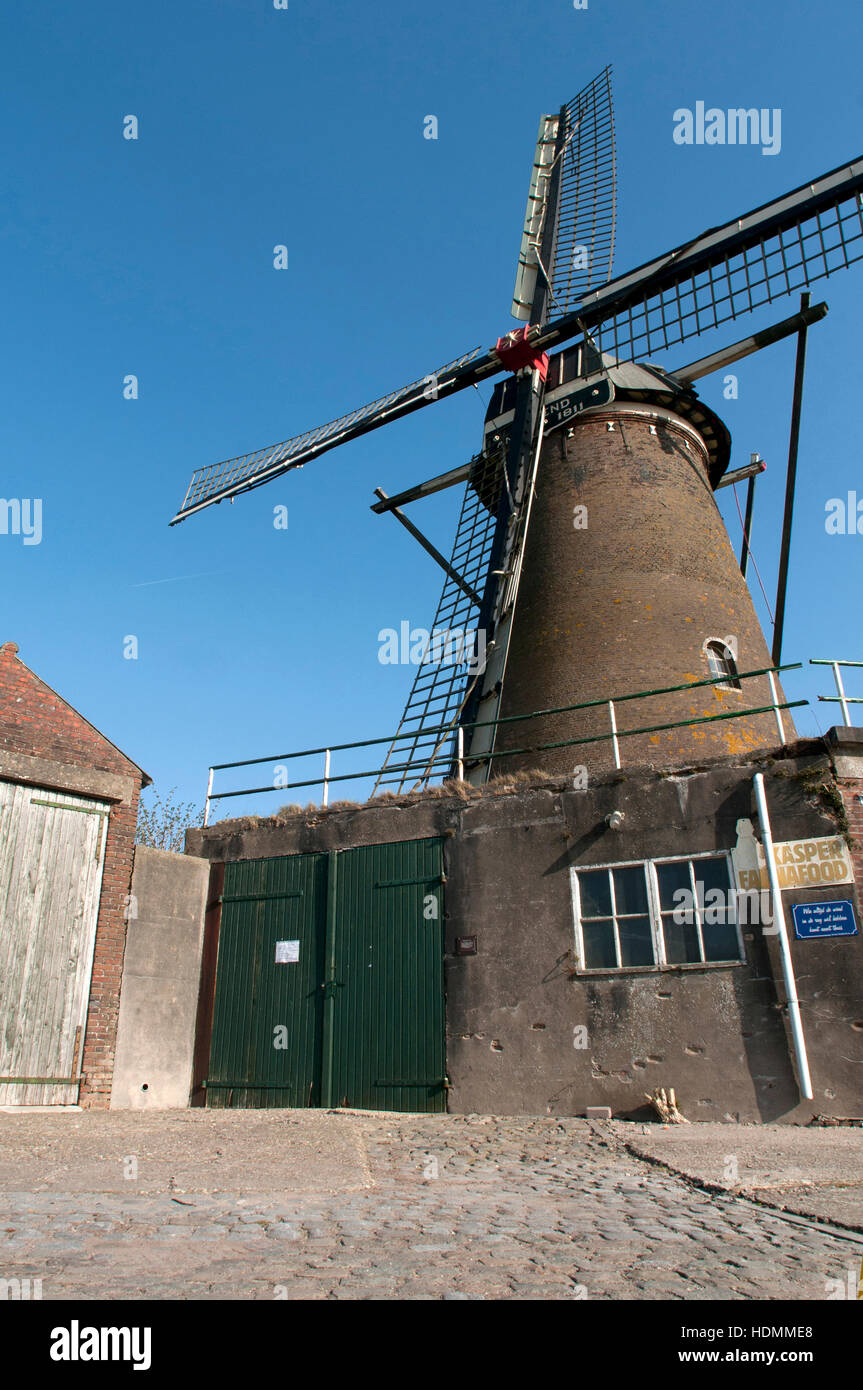 Un beau moulin en paysage aux Pays-Bas Banque D'Images