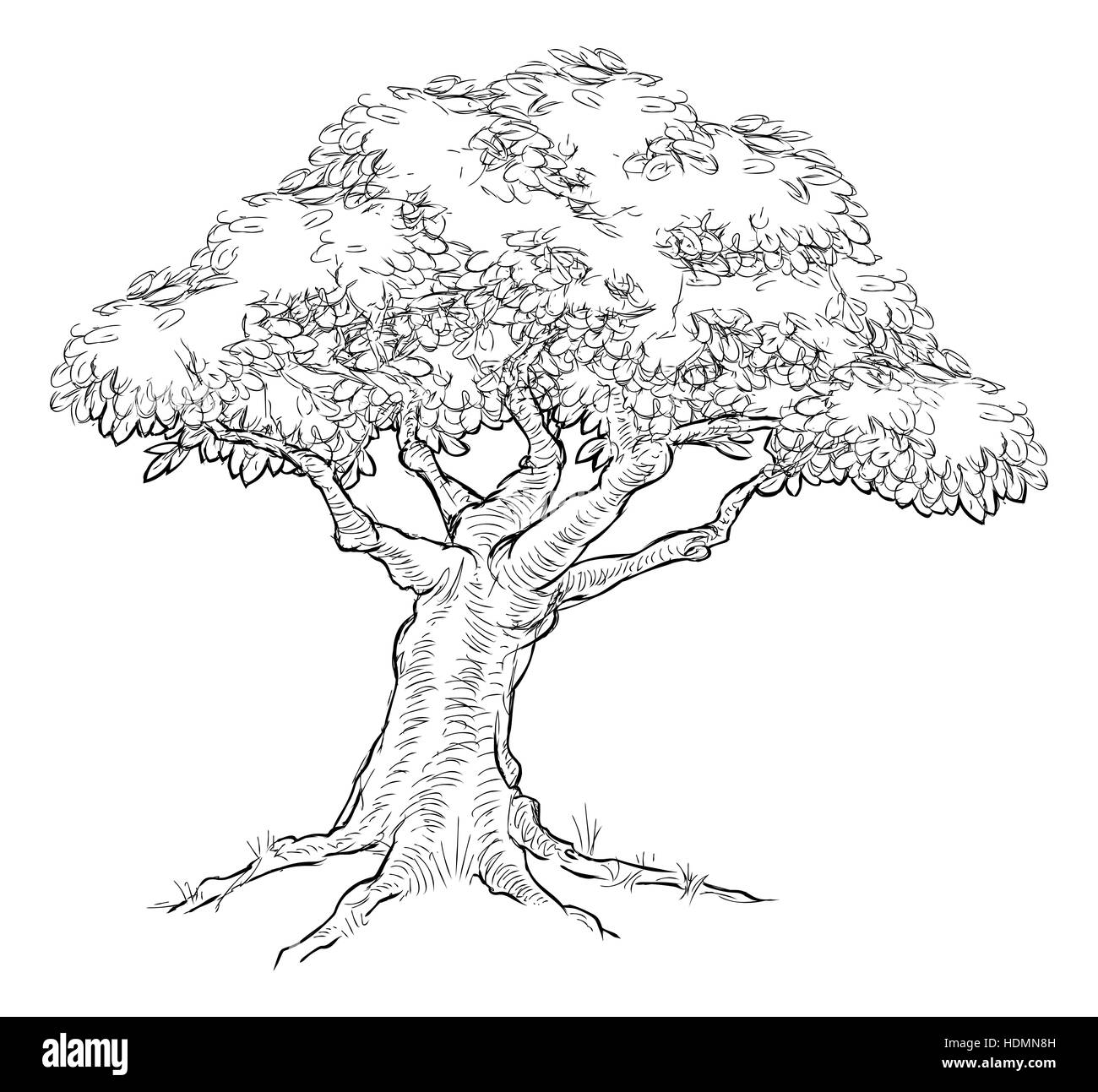 Un arbre de chêne, peut-être, dans un hand drawn vintage style gravé gravé sur bois Banque D'Images