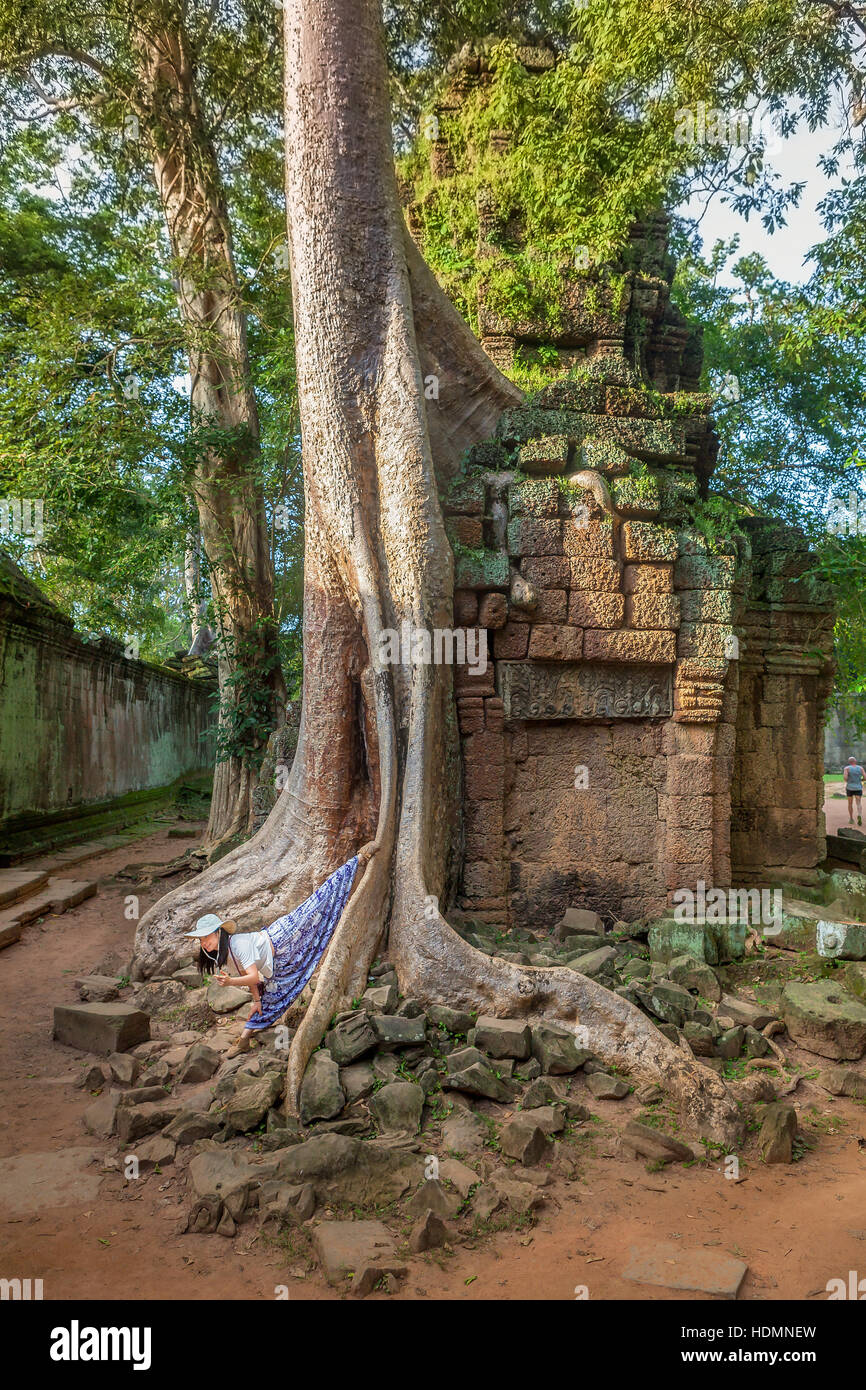 Un touriste asiatique fait une pose goofy contre un arbre qui est Spung temple également mangeuses ruines à Ta Prohm, Siem Reap, Cambodge. Banque D'Images