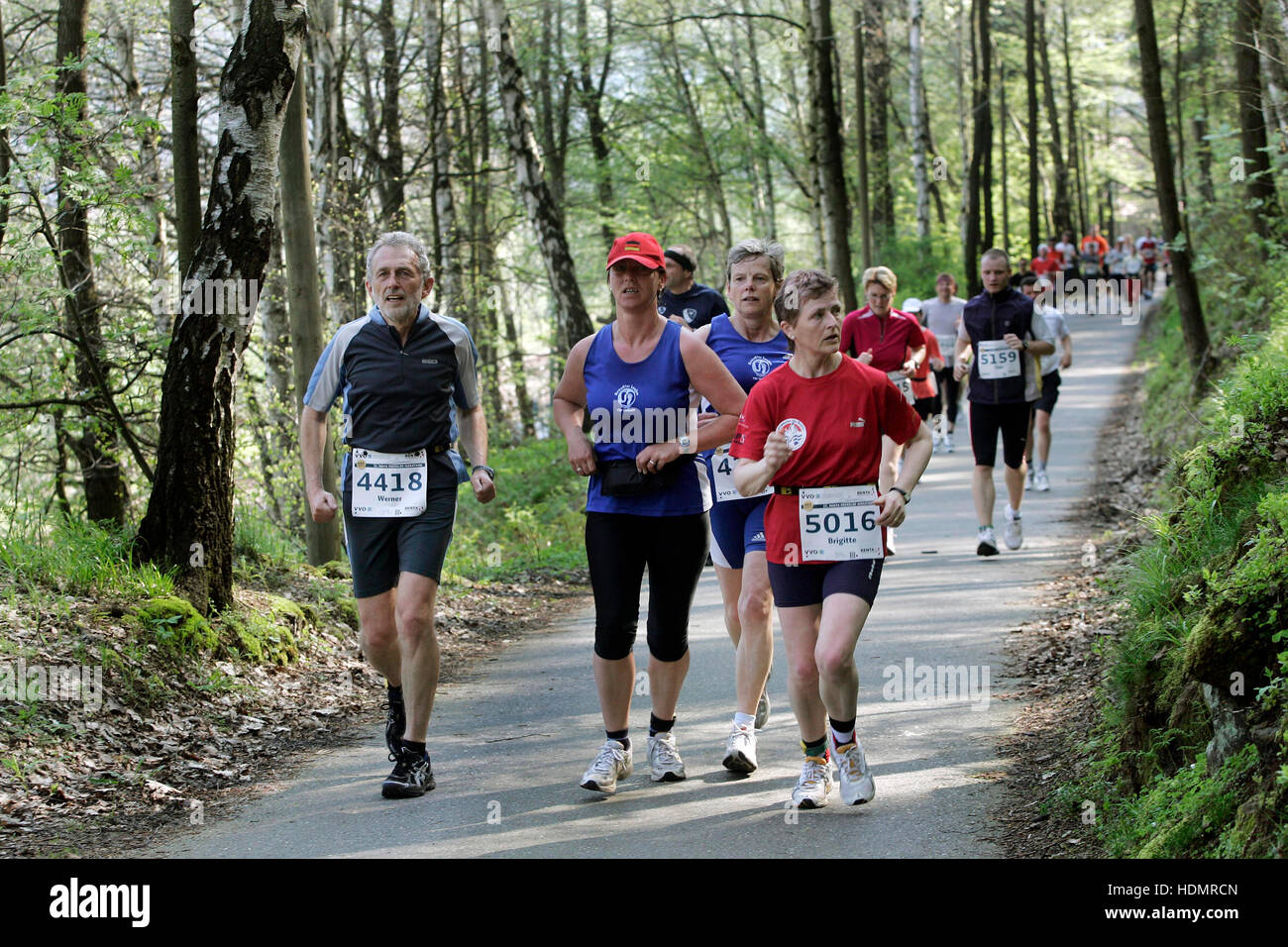 11e Marathon de l'Elbe supérieure de Koenigstein par Saechsische Schweiz, Suisse saxonne de Dresde, Saxe Banque D'Images