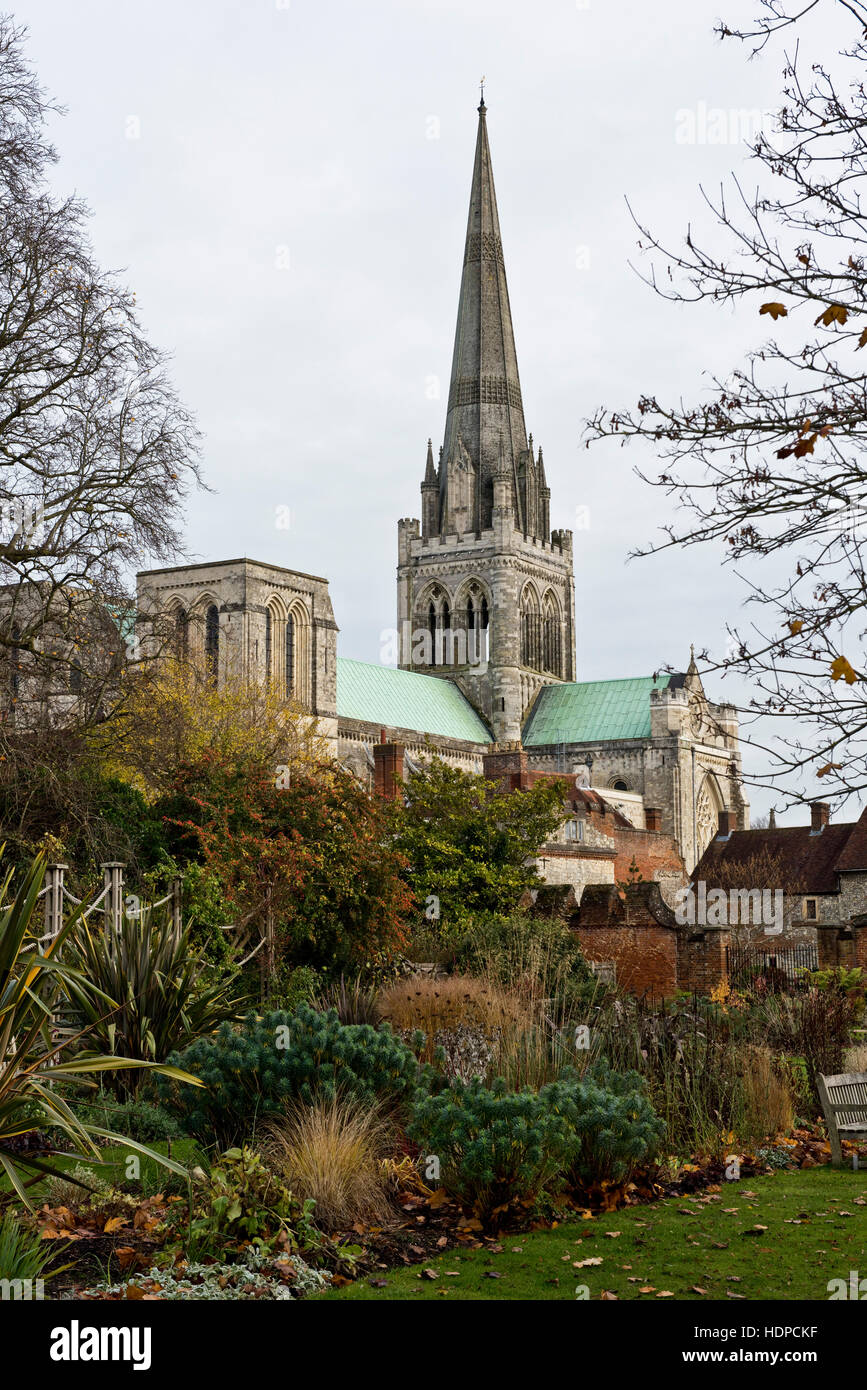 La flèche de la cathédrale de Chichester à les jardins en hiver et encadré par des arbres sans feuilles, West Sussex, Novembre Banque D'Images