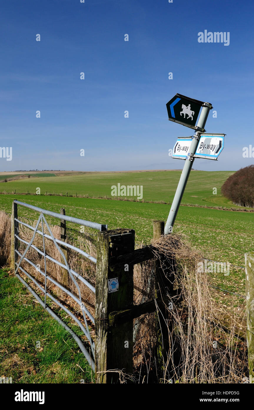 Une balise à un byway/bridleway junction, plus une waymarker sur la porte-post pour les trois Downs Link equitation trail. Banque D'Images