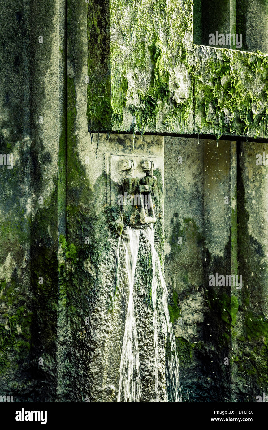 Gros plan vert de mouches et de moustiques planant autour d'une écluse de débordement jaillissante sur le quai de la Tamise, Londres, Royaume-Uni Banque D'Images