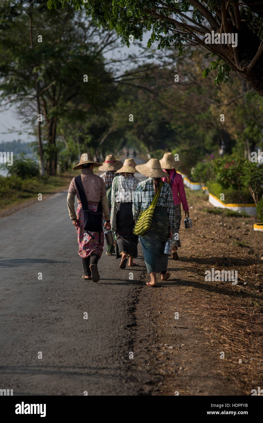 Les travailleurs sur le terrain la position des femmes au travail dans les champs de Nyaungshwe, Myanmar. Banque D'Images