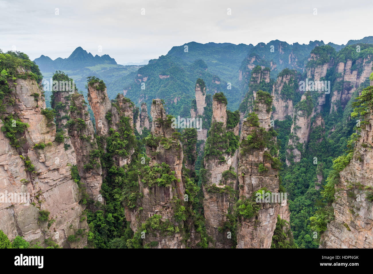 Paysage de montagne du parc national de Zhangjiajie, Chine Banque D'Images