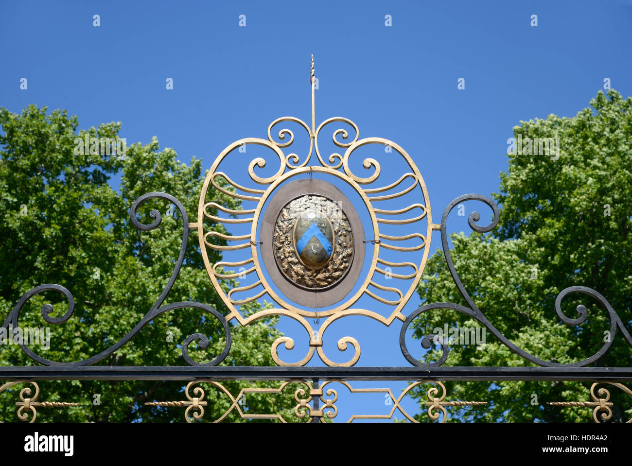 Armoiries ou symbole héraldique à la porte d'entrée à la 18ème Château de Sauvan Mane, près de Forcalquier, Provence France Banque D'Images
