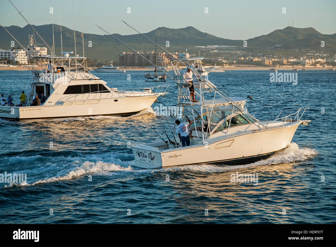 Les bateaux de pêche de sortir tôt le matin, Cabo San Lucas, Baja California Sur, Mexique Banque D'Images