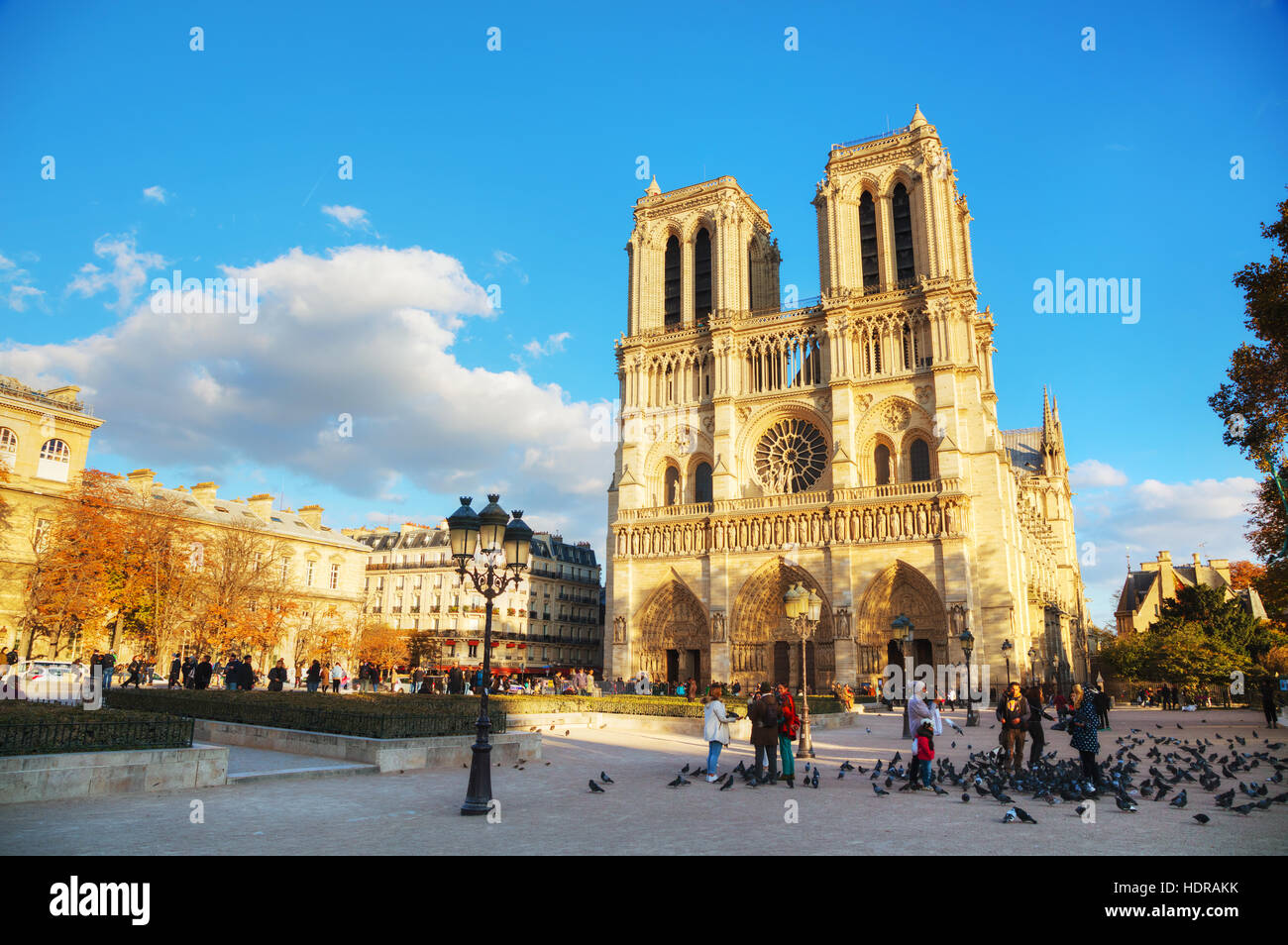 PARIS - le 2 novembre : la cathédrale Notre Dame de Paris le 2 novembre 2016 à Paris, France. C'est le plus bel exemple d'architecture gothique française Banque D'Images