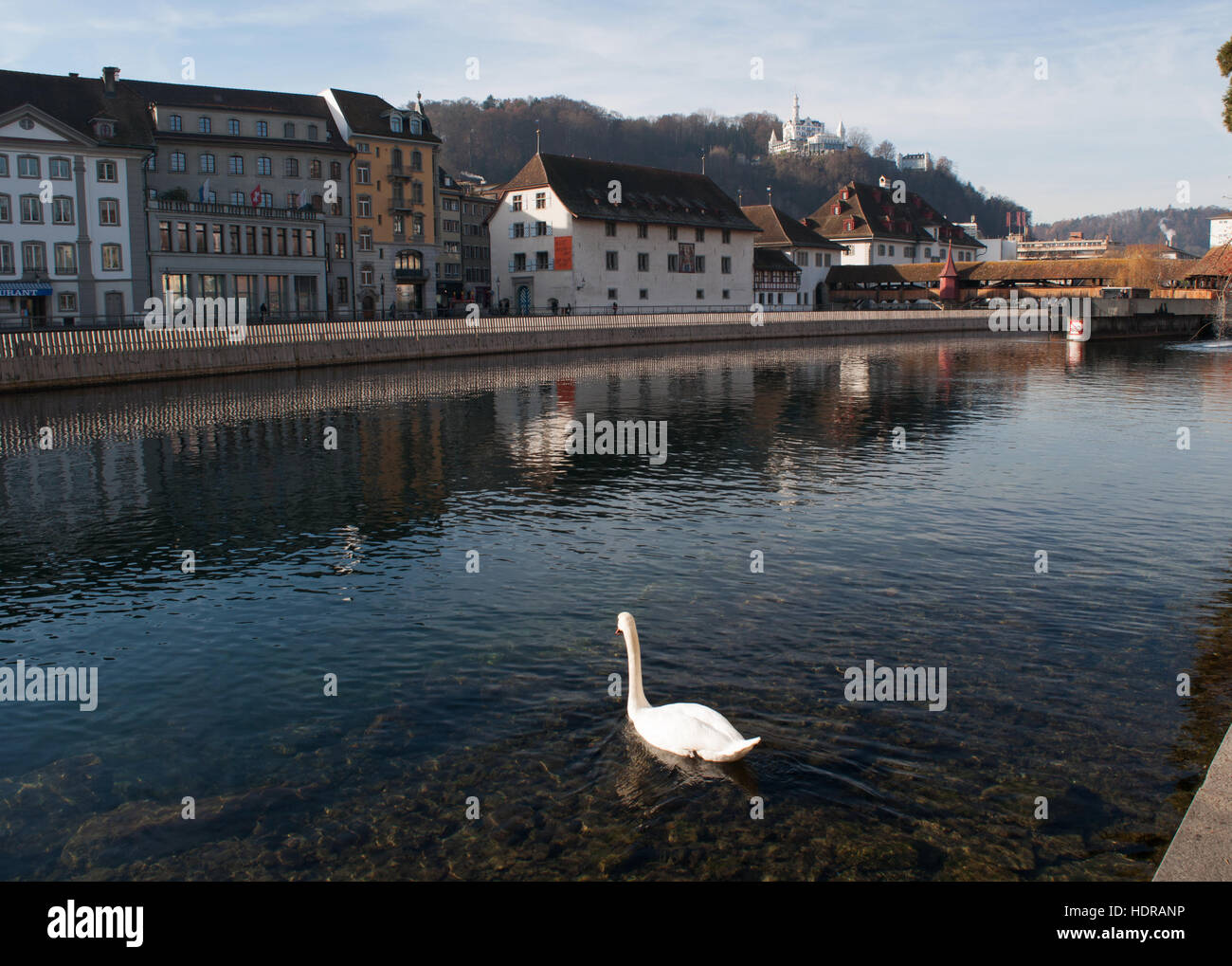 La Suisse, l'Europe : un cygne dans la rivière Reuss et le skyline de Lucerne, la ville médiévale célèbre pour ses ponts de bois couverts Banque D'Images