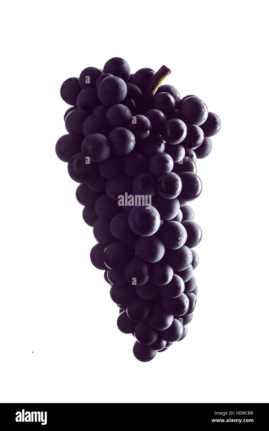Grappe de raisins sur fond blanc Banque D'Images