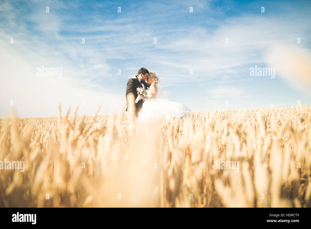 Heureux élégant élégant et magnifique blonde bride groom posing in wheat field sur le fond bleu du ciel Banque D'Images