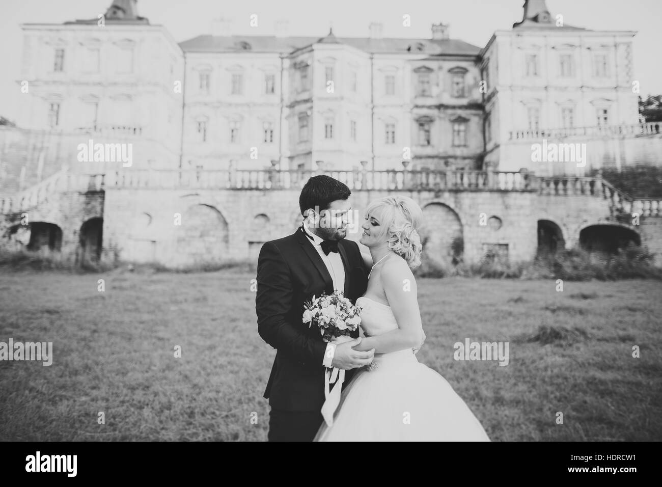Happy wedding couple accolades et embrassades sur fond de vieux château Banque D'Images